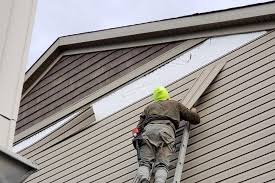 Best Custom Siding Design  in St Croix Falls, WI